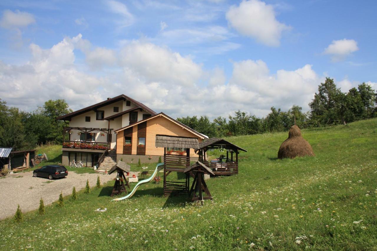 Вилла Casa Dunca Сигету-Мармацией Экстерьер фото